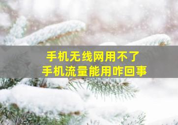 手机无线网用不了 手机流量能用咋回事